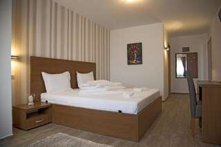 Отель Hotel Nova Bital Popeşti-Leordeni Двухместный номер с 1 кроватью-13