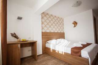 Отель Hotel Nova Bital Popeşti-Leordeni Двухместный номер с 1 кроватью-7